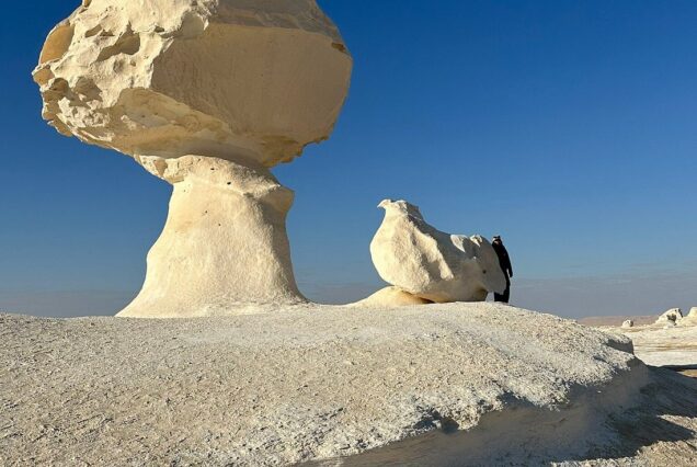 Bahariya Oasis