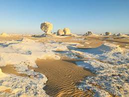 DAY TRIP TO BAHARIYA OASIS VISIT BLACK AND WHITE DESERT FROM CAIRO