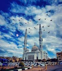 PRIVATE FULL DAY TOUR TO PORT SAID FROM CAIRO